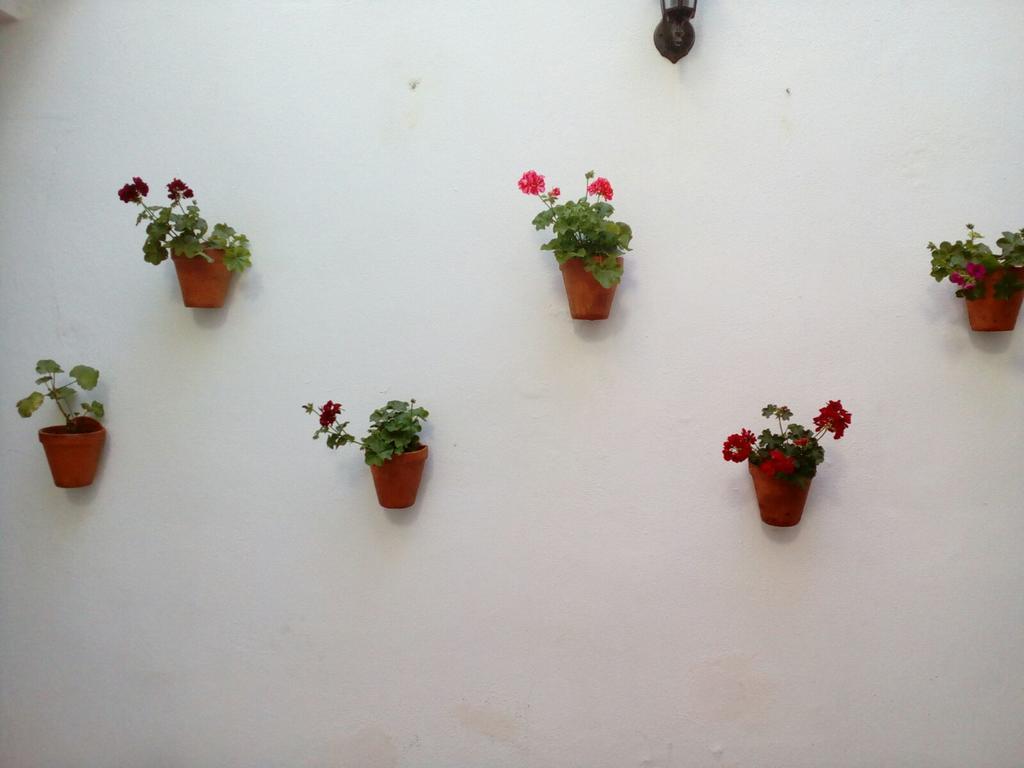 חרז Apartamentos Porvera Jerez מראה חיצוני תמונה